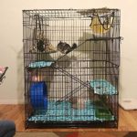 Yaheetech 4-Tier Cat Cage | Cat Playpen w/2 Front Doors/3