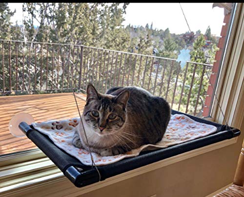 Cat Bed Window Perch Hammock with Free Blanket Sunny Seat