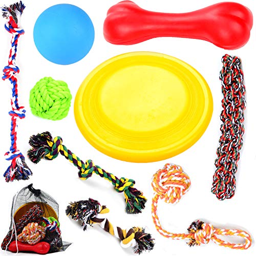 Large Puppy Dog Chew Toys 10 Value Pack