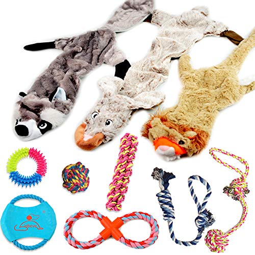 Lobeve Dog Toys Gift Set,Variety No Stuffing Squeaky