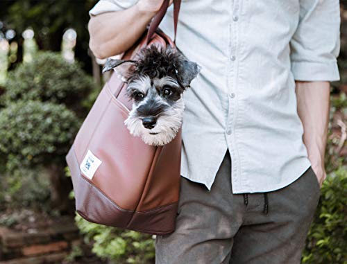TAILFOUR Portable Travel Pet Carrier, Soft and Comfortable