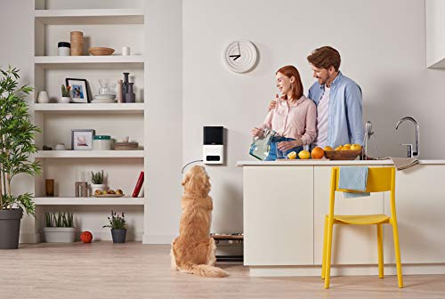 Petcube Bites Pet Camera with Treat Dispenser. Monitor Your Pet Remotely
