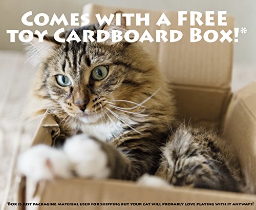 GoPets Premium Cat Scratcher, Wedge Shaped Corrugated Cardboard