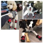 Petilleur Breathable Dog Hiking Shoes for Hot