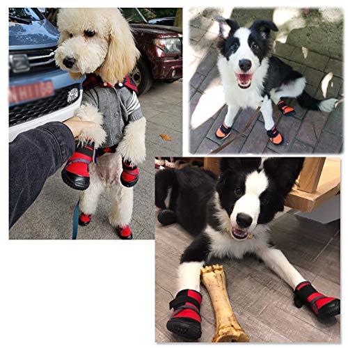 Petilleur Breathable Dog Hiking Shoes for Hot
