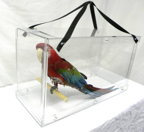 Pennzoni Display Acrylic Bird Carrier