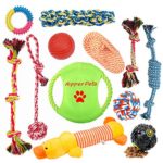 Aipper Dog Puppy Toys 12 Pack, Puppy Chew Toys