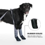 Walkee Paws Waterproof Dog Leggings