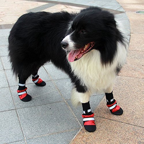HiPaw Winter Snow Dog Boots Warm Lining Water-Resisitant