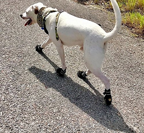 EXPAWLORER Waterproof Dog Boots Reflective