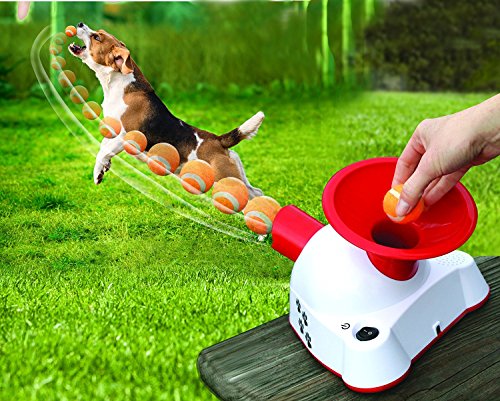 Gotcha Talking Dog Fetch Toy, An Automatic Ball Thrower/Launcher