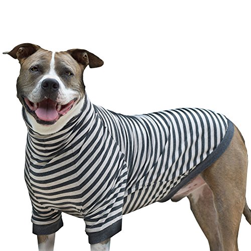 Tooth & Honey big dog stripe shirt pullover full belly