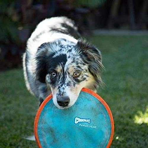 Chuckit! Paraflight Flyer Dog Frisbee for Long Distance Fetch