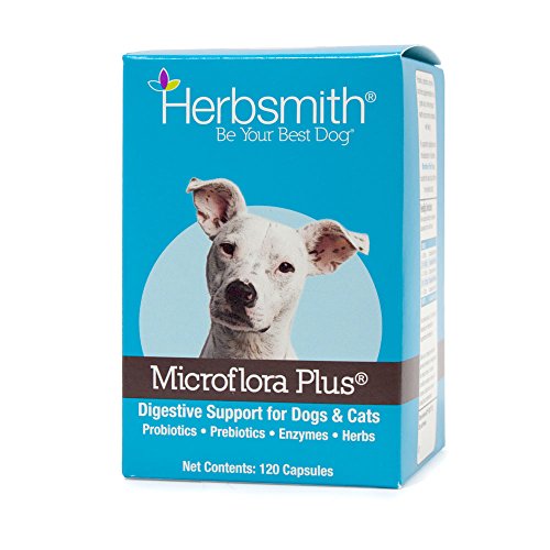 Herbsmith Microflora Plus – Dog Digestion Aid –Probiotics