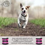 Dr. Maggie Paw Protector NEW Packaging