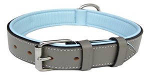 Soft Touch Collars Medium Leather Dog Collar