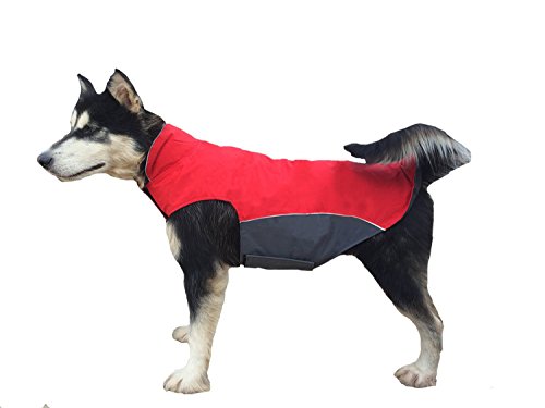 BONAWEN Autumn Winter Dog Coat Waterproof