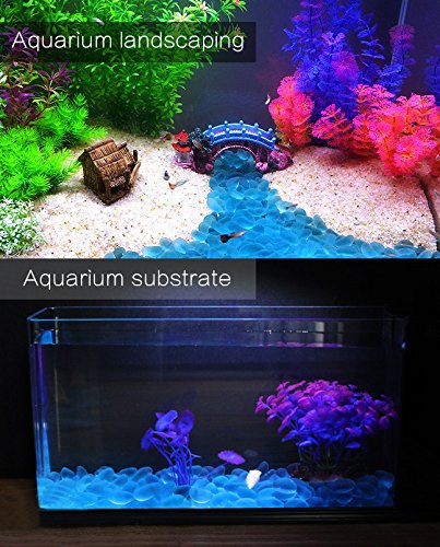 SpringSmart Colorful Aquarium Decorative Glass Rocks Best ⋆ PetSep.com