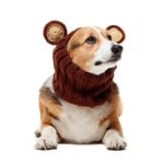 Zoo Snoods Grizzly Bear Dog Costume