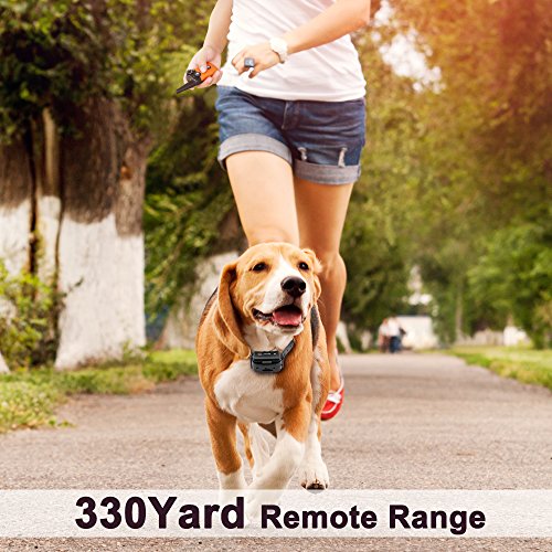 Waterproof & Rechargeable Dog Shock Collar 900 ft Remote Dog