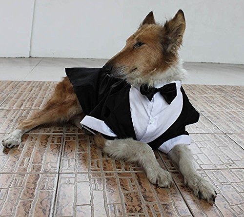 Evursua Large Dog Tuxedo Wedding Party Suit
