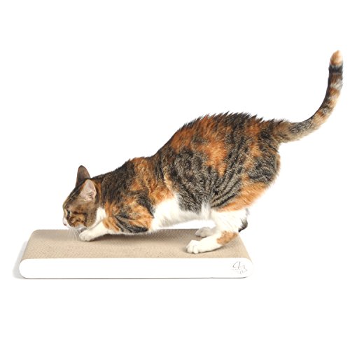 4CLAWS Flat Scratching Pad (2 Pack, White)