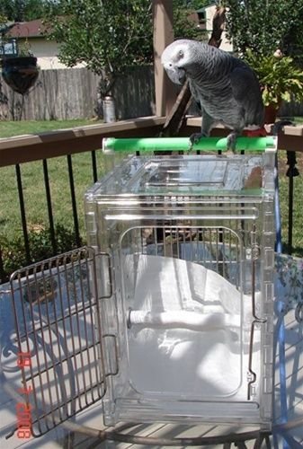 ACRYLIC PARROT TRAVEL CARRIER CAGE bird cage