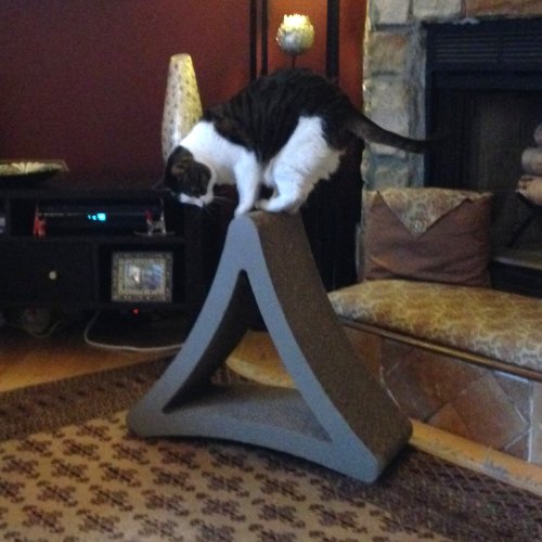 PetFusion 3-Sided Vertical Cat Scratching Post