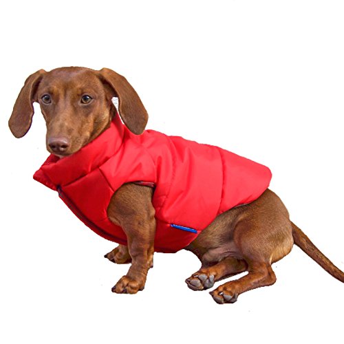 DJANGO Puffer Dog Jacket and Reversible Cold Weather