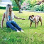 PetSafe Stubborn Dog Receiver Collar, In-Ground Fence Collar