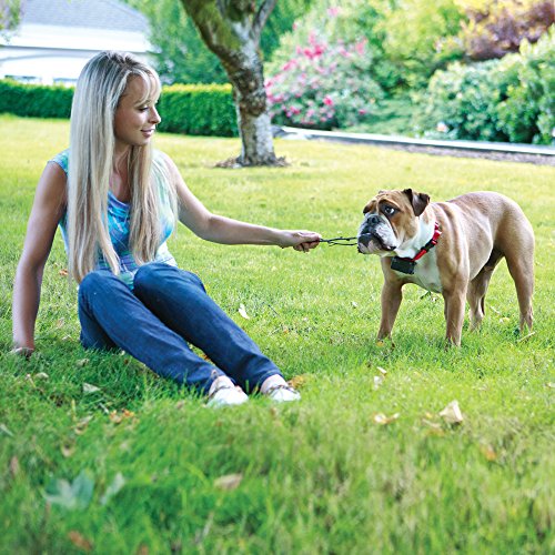 PetSafe Stubborn Dog Receiver Collar, In-Ground Fence Collar