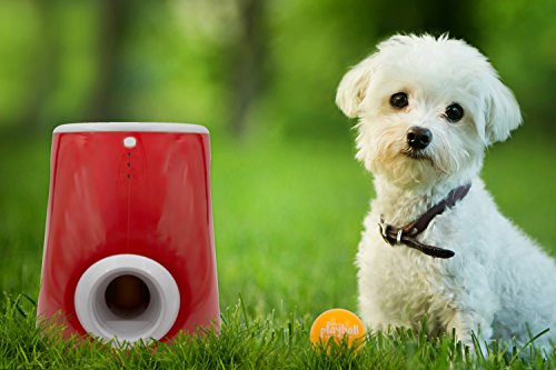 Playball Automatic Ball Launcher & Thrower Dogs - Indoor/Outdoor Use