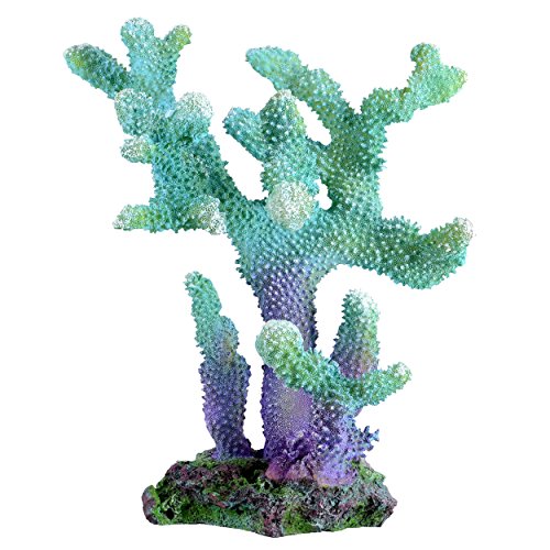 Underwater Treasures Branch Coral