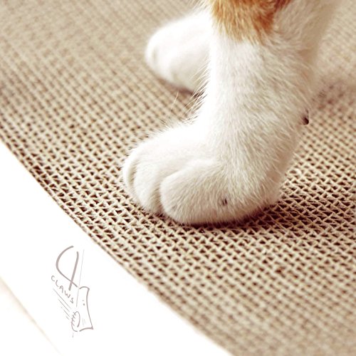 4CLAWS Curve Scratching Pad (White) - Basics Collection Cat Scratcher