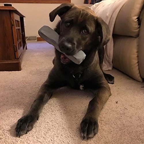 Indestructibone XL Plus - Virtually Indestructible Dog chew Toy