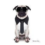 V-Hao Adjustable Dog Boots Non-Slip Tear-Resistence Pet