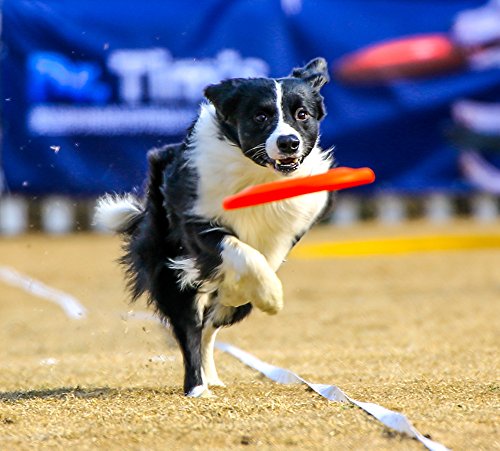 TEESUN Dog Frisbee Training Toys Flying Discs Flyer Silicone