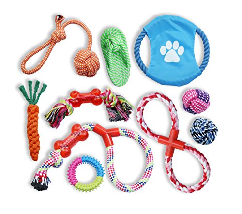 Team Howard 10 Pack Dog Toys – Dog Rope Toys