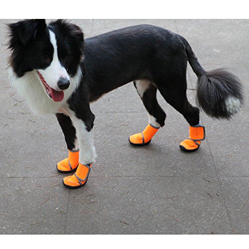 Waterproof Dog Shoes Fluorescent Orange Dog Boots