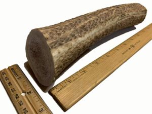 Monster Sized Elk Antlers for Dogs - 13+ Oz Super Jumbo