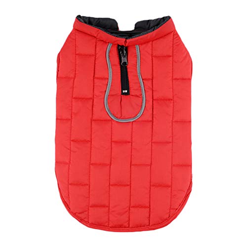 Chaoguang Outdoor Winter Waterproof Dog Coat