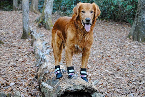 All Weather Neoprene Paw Protector Dog Boots