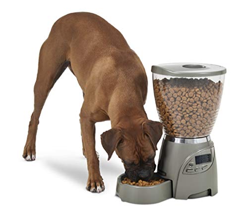 Petmate Portion Right Programmable Dog and Cat