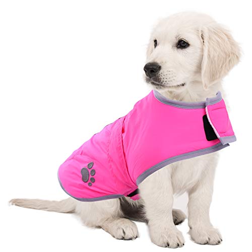 ASENKU Cold Weather Dog Coat Dog Jacket for Winter