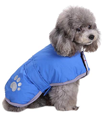 Queenmore Cold Weather Dog Coats Loft Reversible