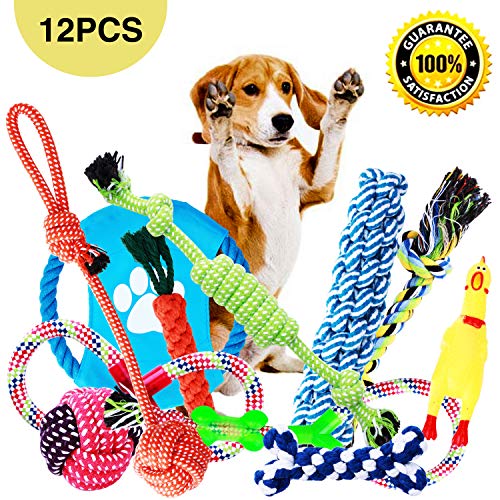 Dog Toys, Dog Chew Toys, Dog Training Toy Set