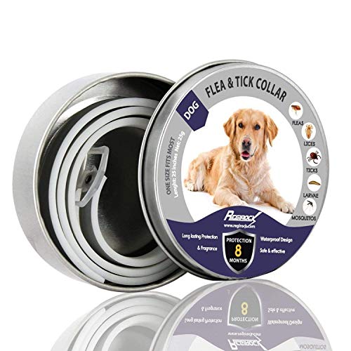 DYEOF Flea Tick Collar for Dogs - 8 Months Protection