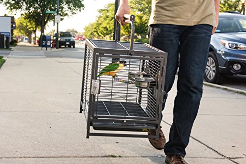 Prevue Pet Products Travel Carrier for Birds