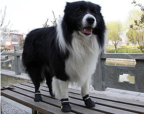 GO GO RUN Pet Boots 4 Pcs Outdoor Waterproof