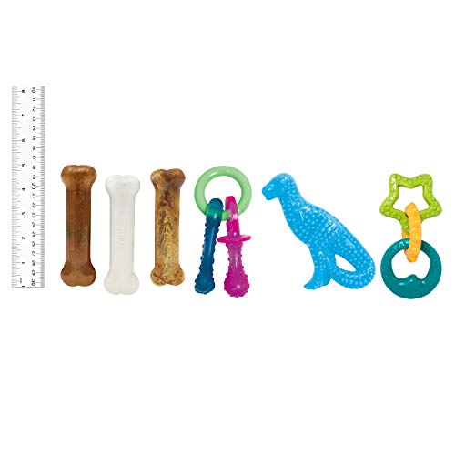 Nylabone Puppy Toy Bundle with Puppy Starter Pack